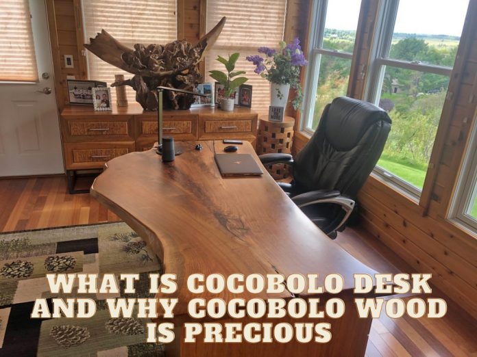 What is Cocobolo Desk and why Cocobolo wood is Precious