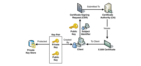 Role of SSL Certificate