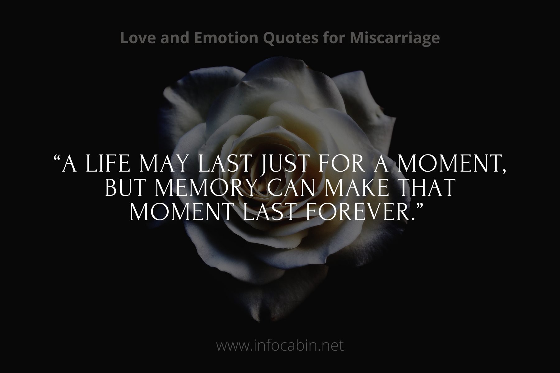 A life may last just for a moment, but memory can make that moment last forever.” 