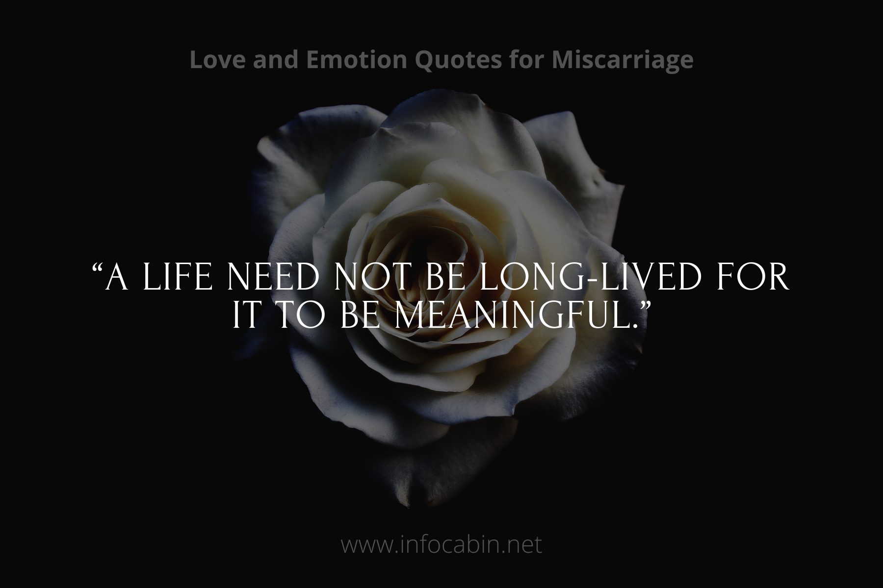 “A life need not be long-lived for it to be meaningful.”