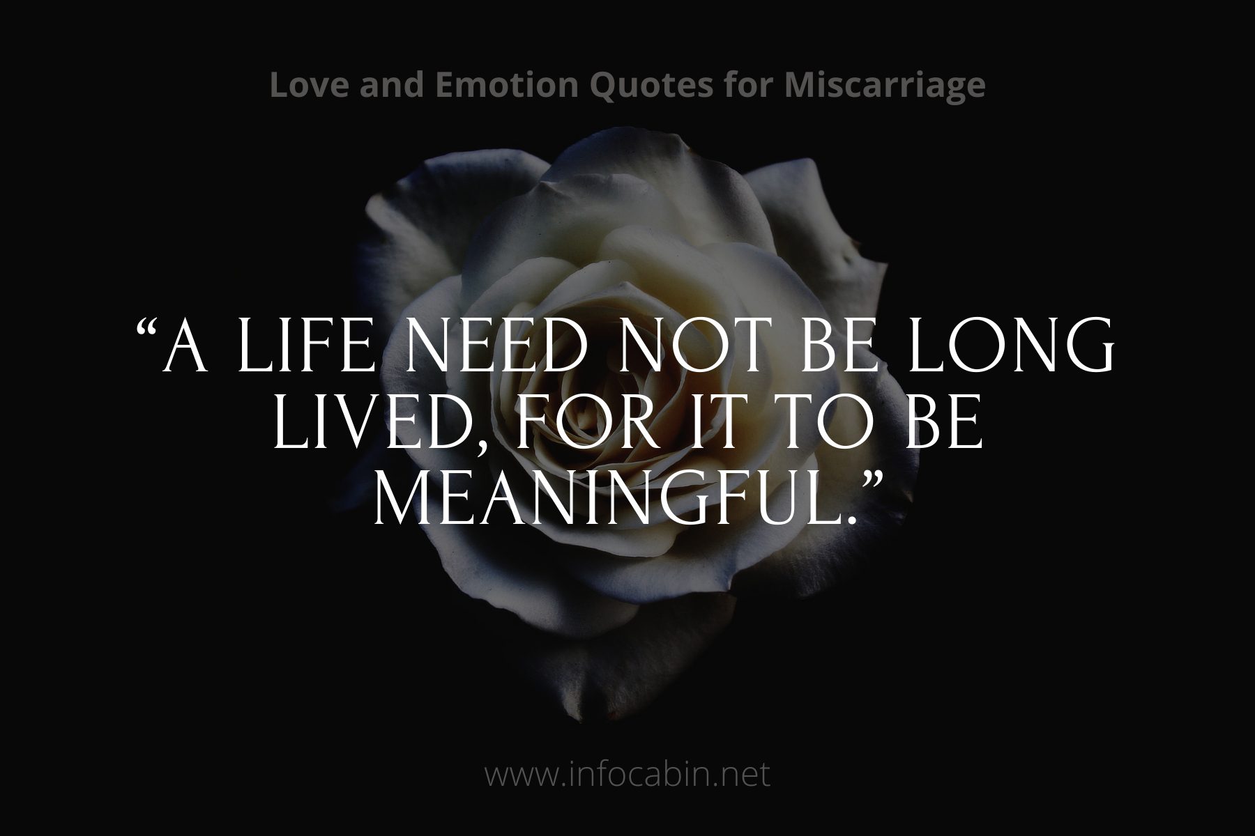 “A life need not be long lived, for it to be meaningful.”