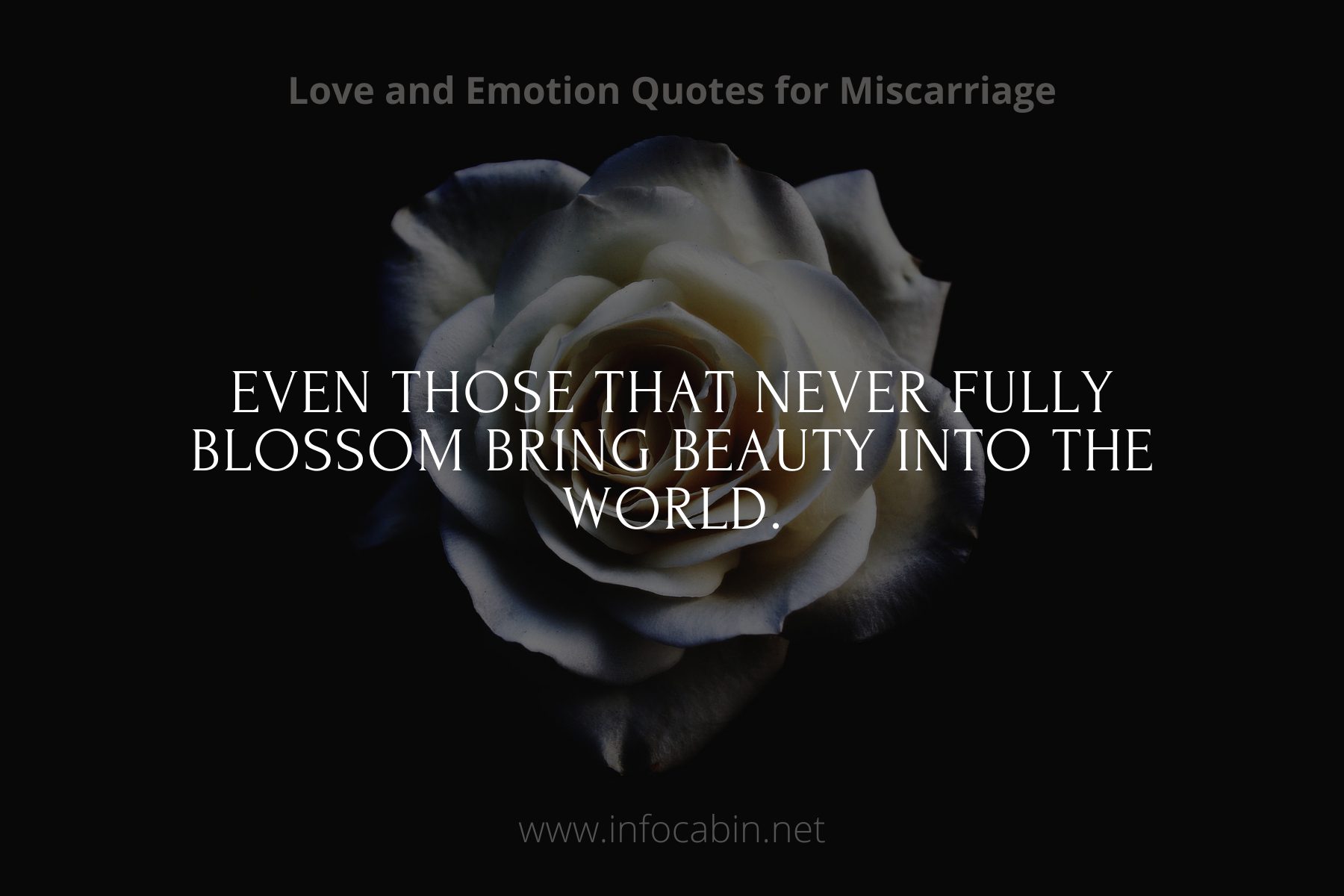 Even those that never fully blossom bring beauty into the world.