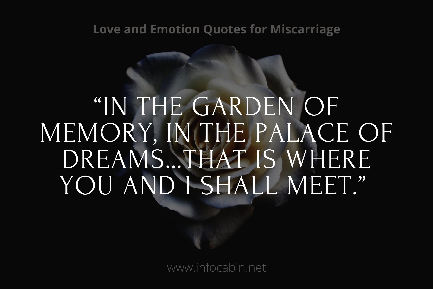 “In the garden of memory, in the palace of dreams…that is where you and I shall meet.” Miscarriage Quote by Alice