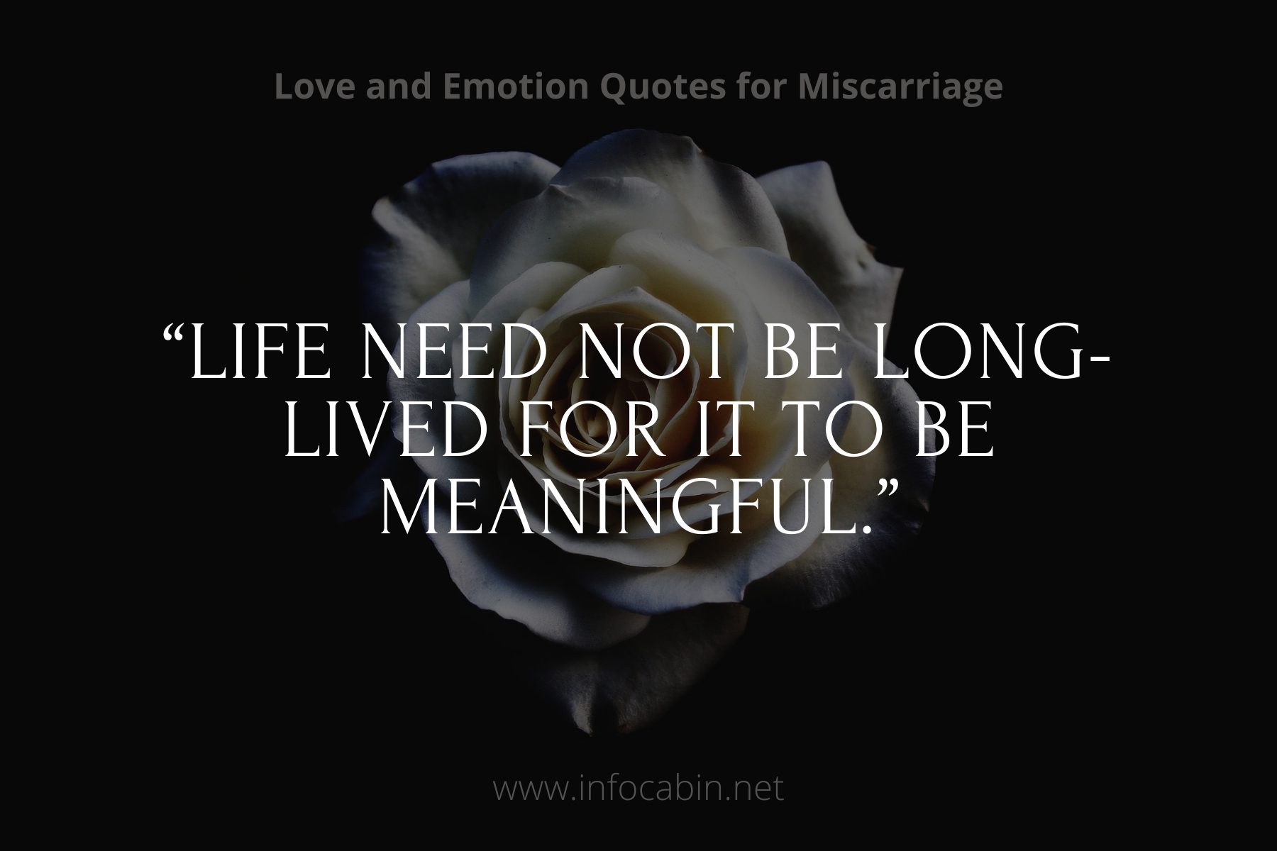 “Life need not be long-lived for it to be meaningful.”