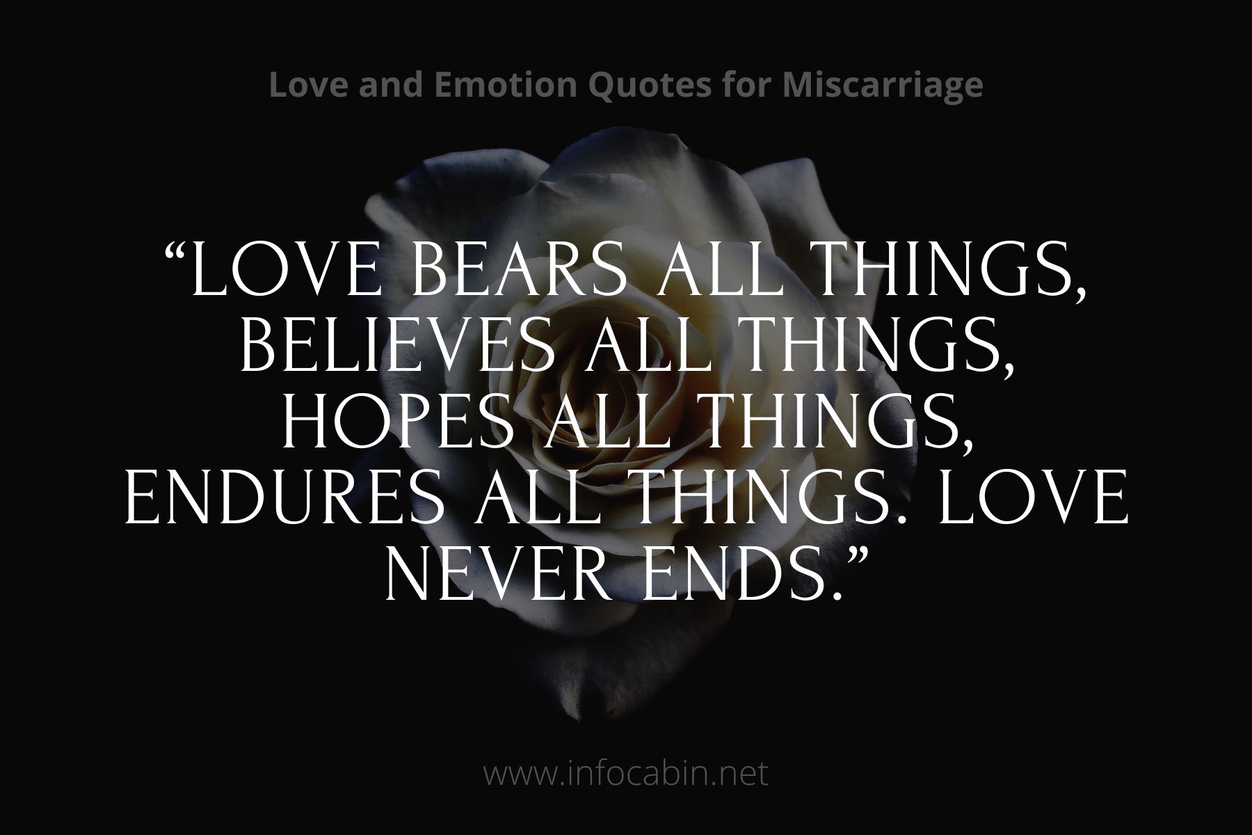 “Love bears all things, believes all things, hopes all things, endures all things. Love never ends.”