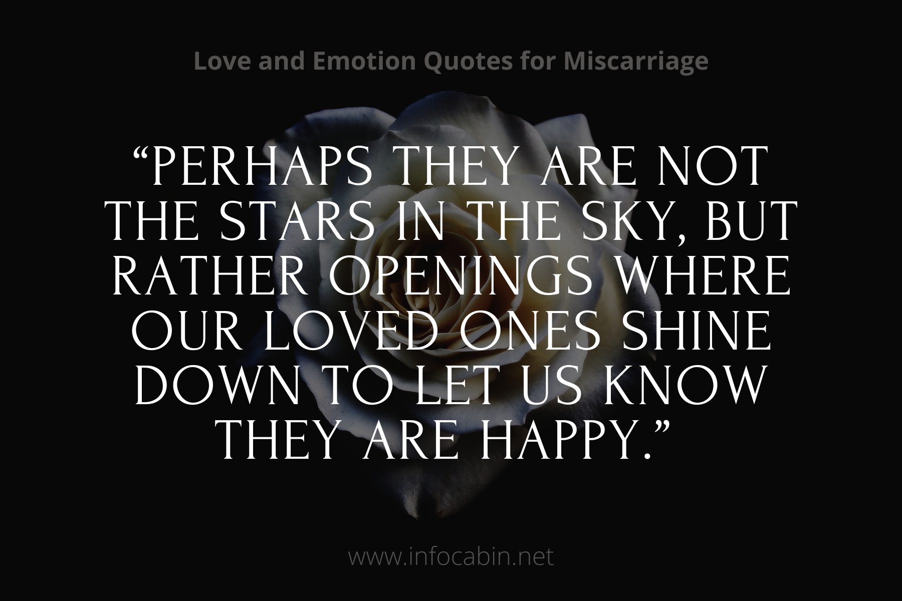 “Perhaps they are not the stars in the sky, but rather openings where our loved ones shine down to let us know they are happy.”