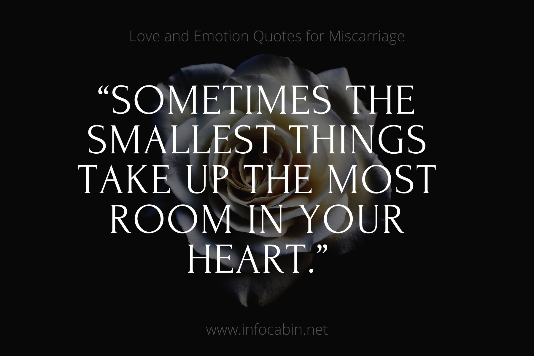 “Sometimes the smallest things take up the most room in your heart.”