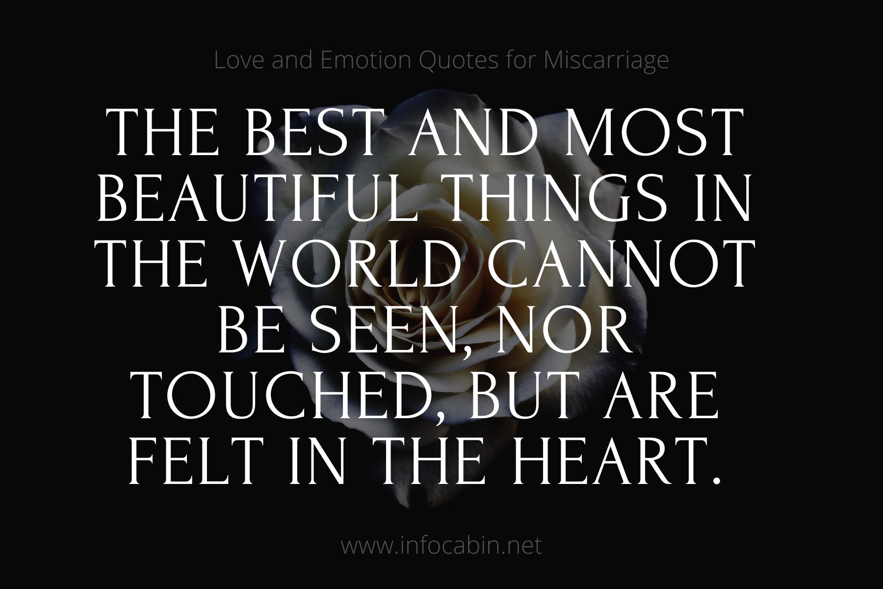 The best and most beautiful things in the world cannot be seen, nor touched, but are felt in the heart.