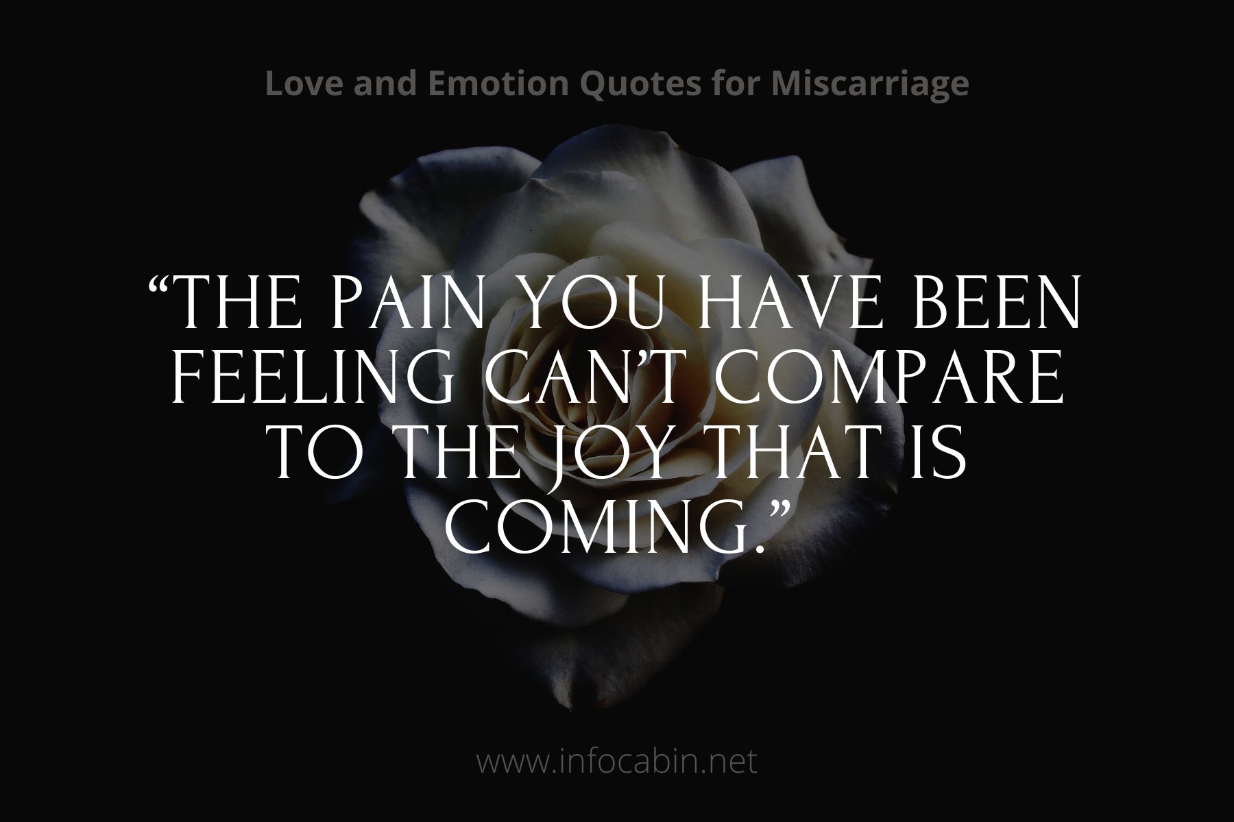 “The pain you have been feeling can’t compare to the joy that is coming.”