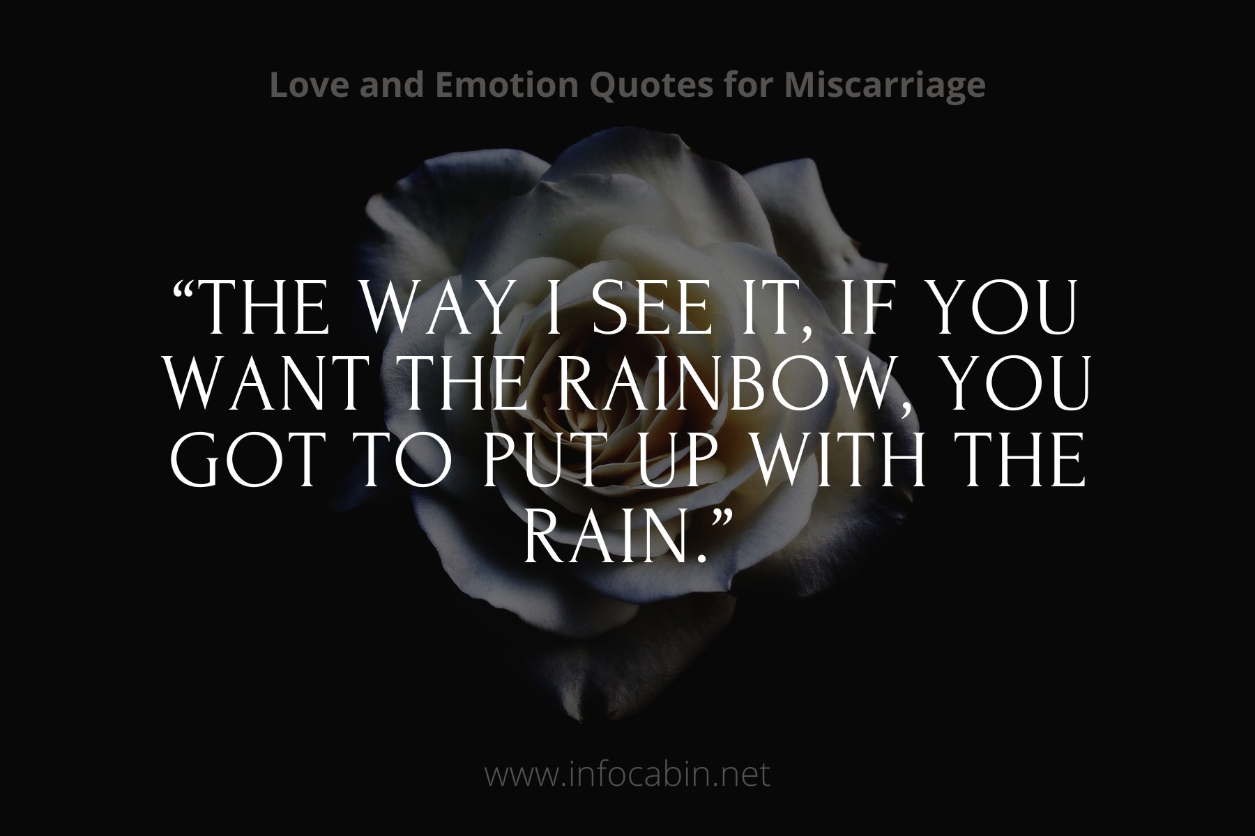 “The way I see it, if you want the rainbow, you got to put up with the rain.”