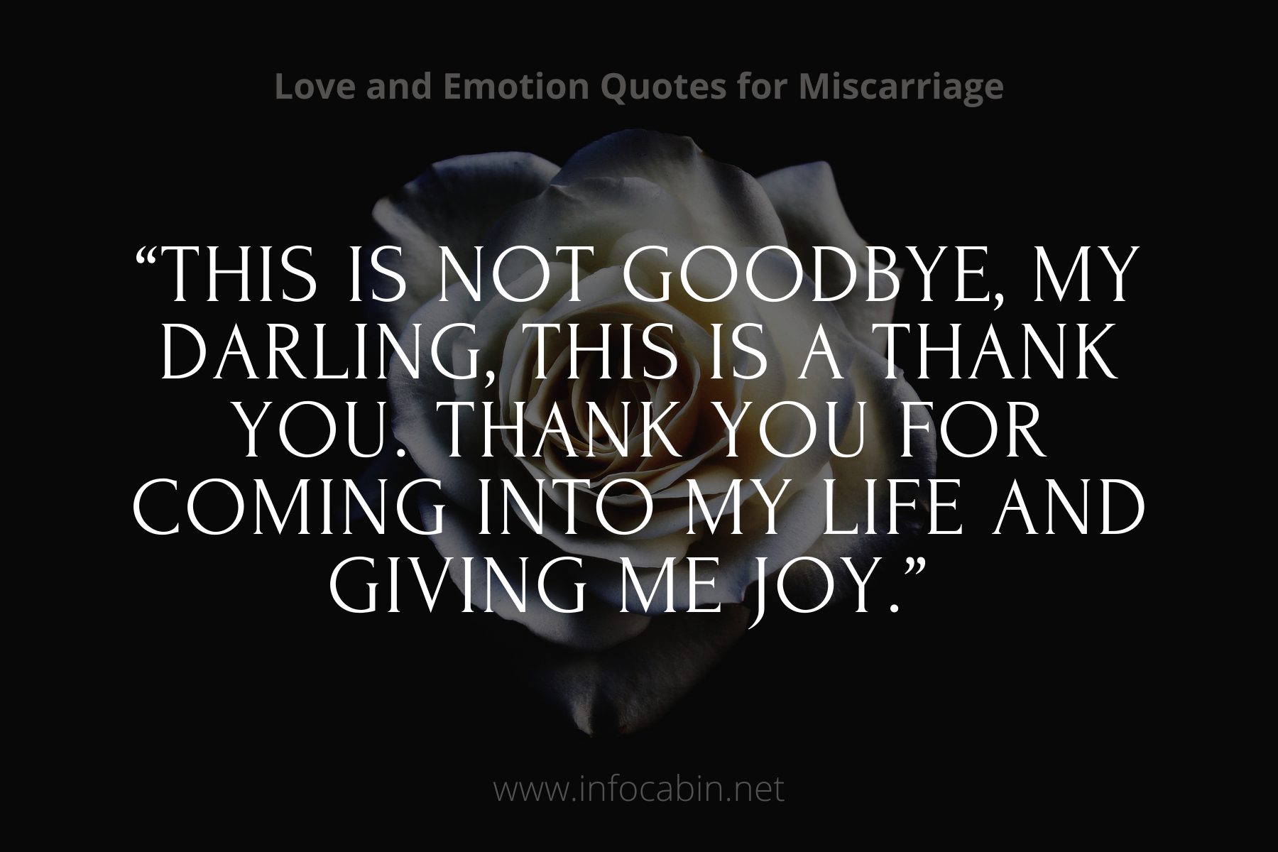 “This is not goodbye, my darling, this is a thank you. Thank you for coming into my life and giving me joy.”