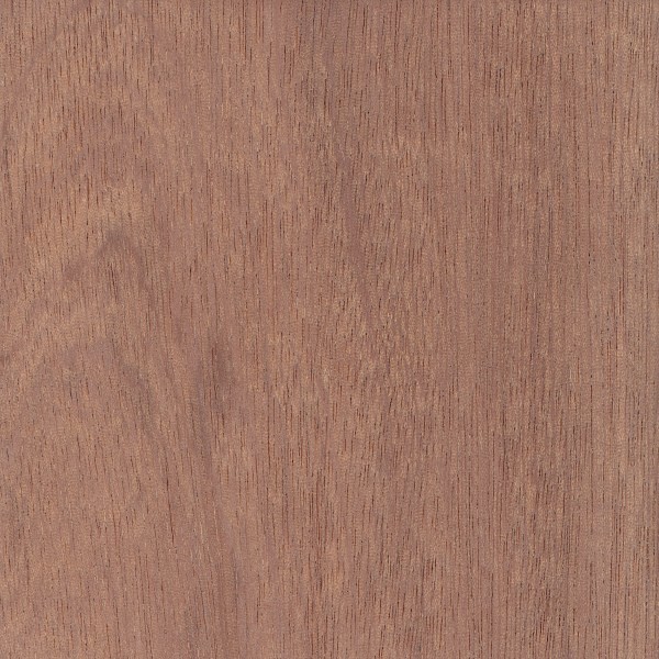 Sapele Wood