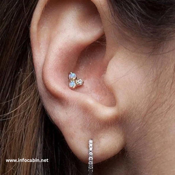 Conch Piercing